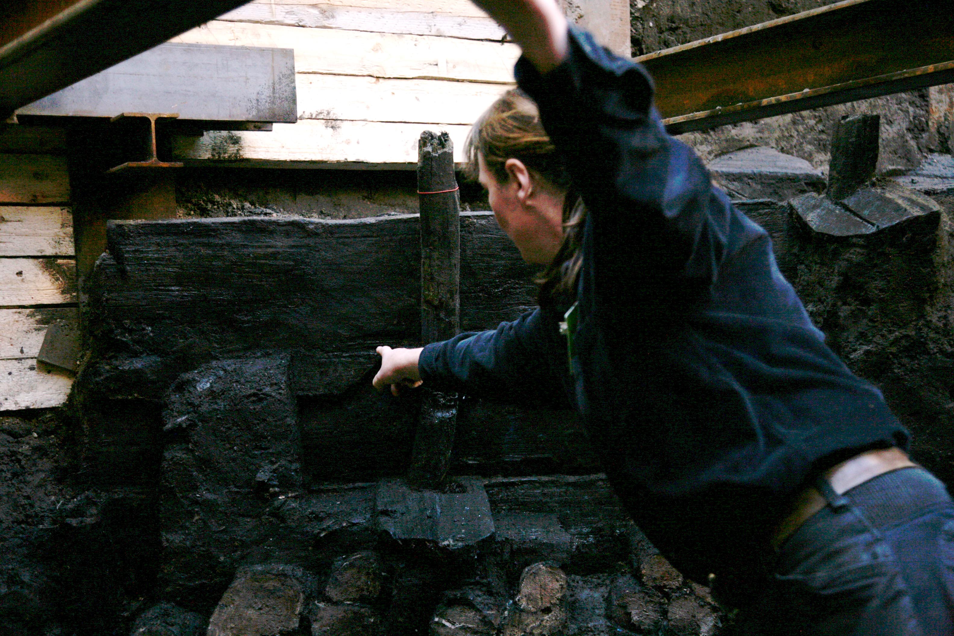 30 Belege für den historischen Burgwall dieschweriner.de