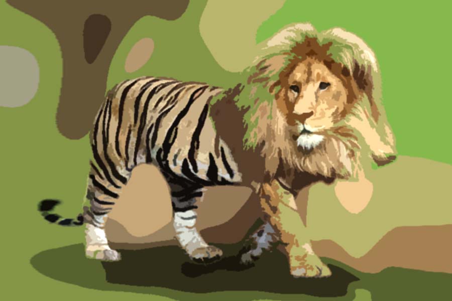 Töwe Töwe